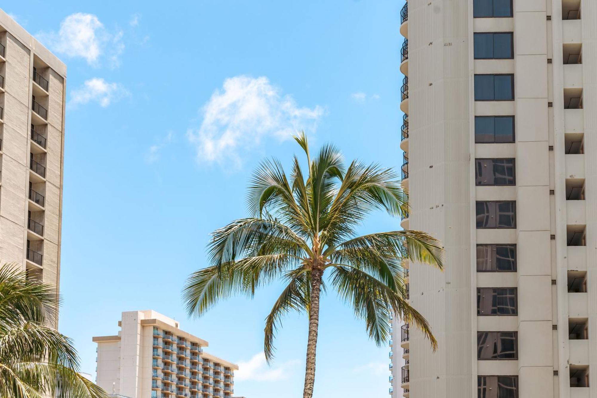 Aloha Vibes With Ocean Views, Near Beach & Parking! Honolulu Esterno foto