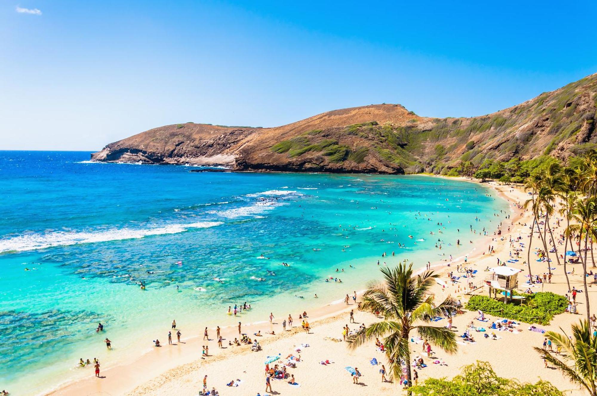 Aloha Vibes With Ocean Views, Near Beach & Parking! Honolulu Esterno foto