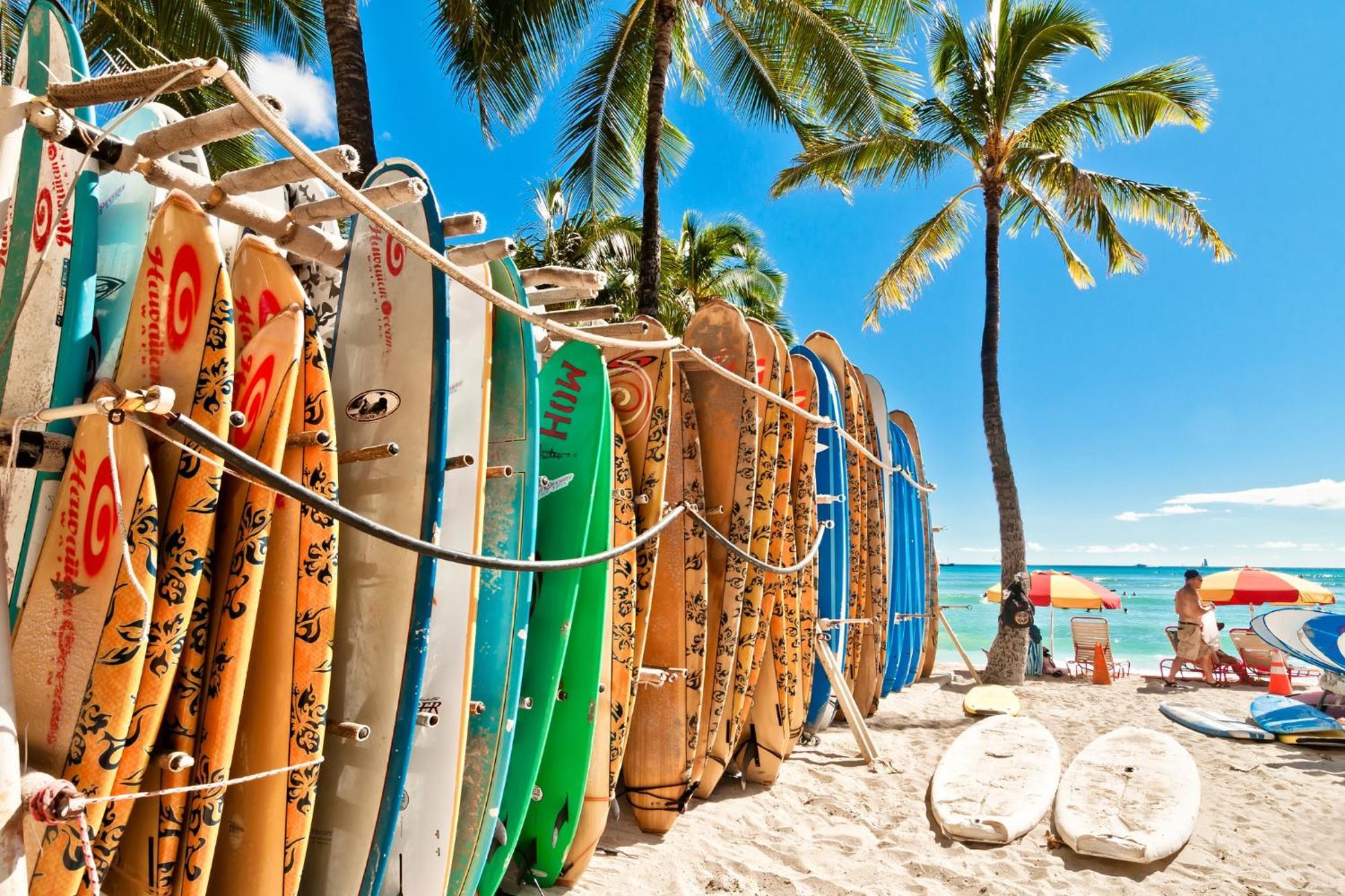 Aloha Vibes With Ocean Views, Near Beach & Parking! Honolulu Esterno foto
