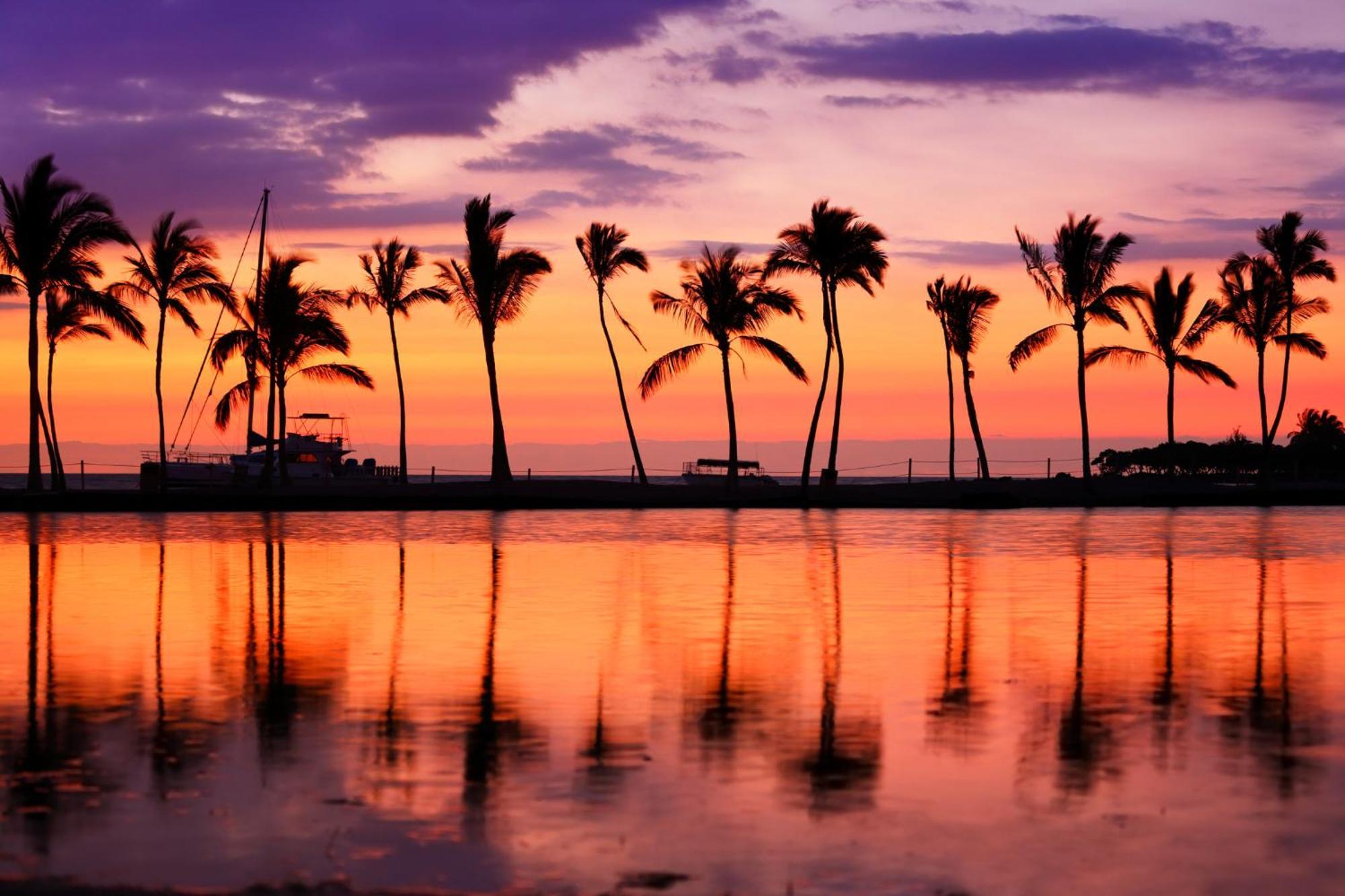 Aloha Vibes With Ocean Views, Near Beach & Parking! Honolulu Esterno foto